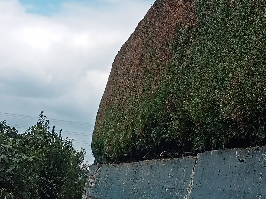 Setos a gran altura