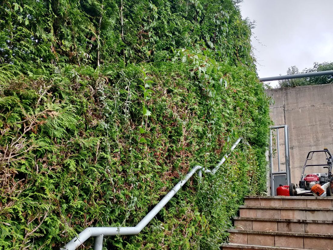 Caminos y escaleras