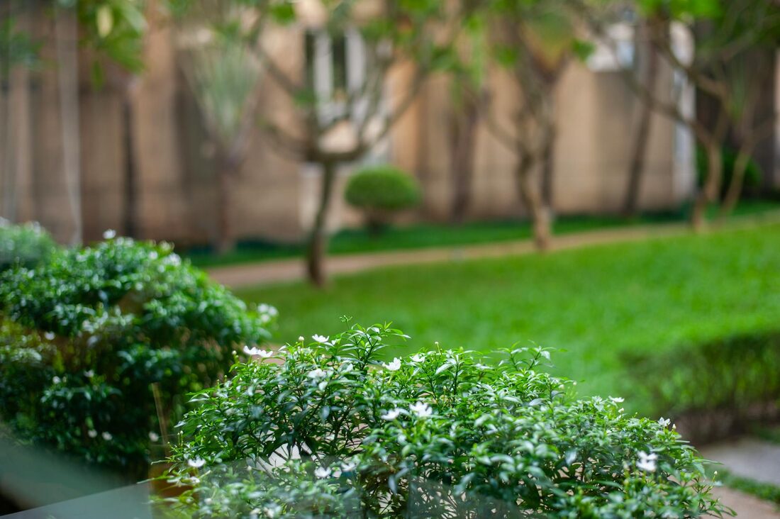 Cuido tu jardín como si fuera el mío
